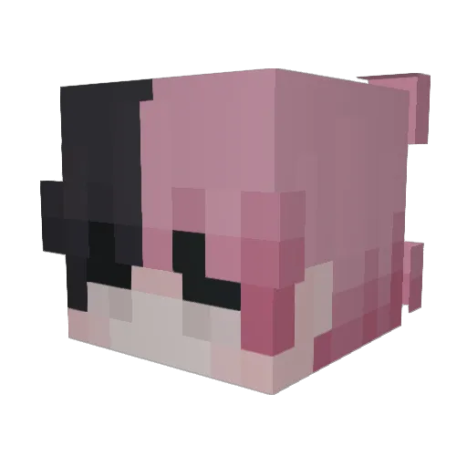 _S_J Minecraft avatar head, 3D render