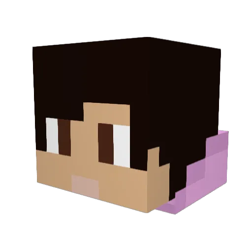 _S_a_u_L Minecraft avatar head, 3D render
