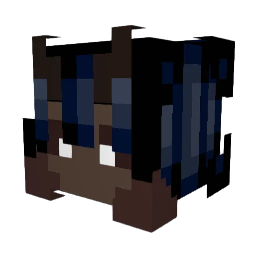 _S_u_s_h_ Minecraft avatar head, 3D render