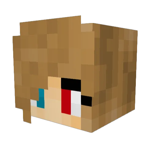 _Sage_S Minecraft avatar head, 3D render