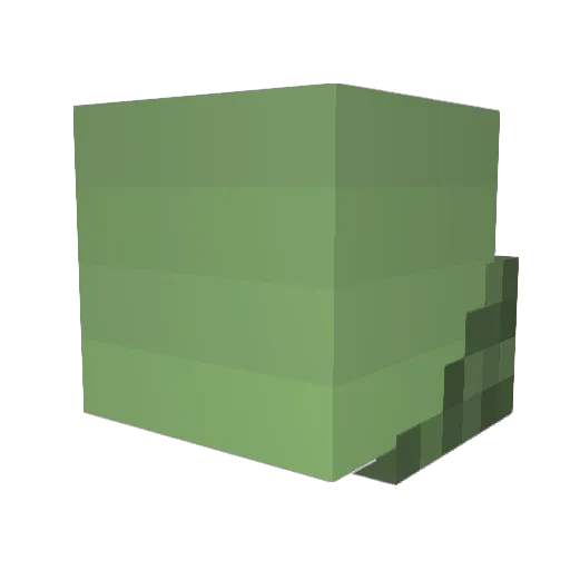 _Sage__ Minecraft avatar head, 3D render