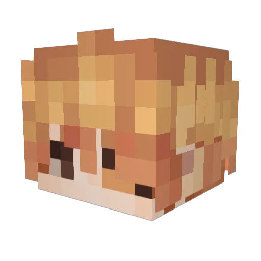 _Saiph10 Minecraft avatar head, 3D render