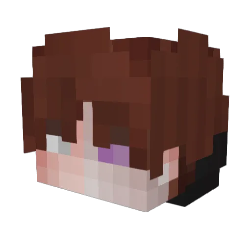 _Sal4d Minecraft avatar head, 3D render