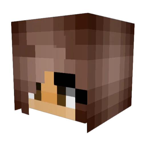_SalChi_ Minecraft avatar head, 3D render