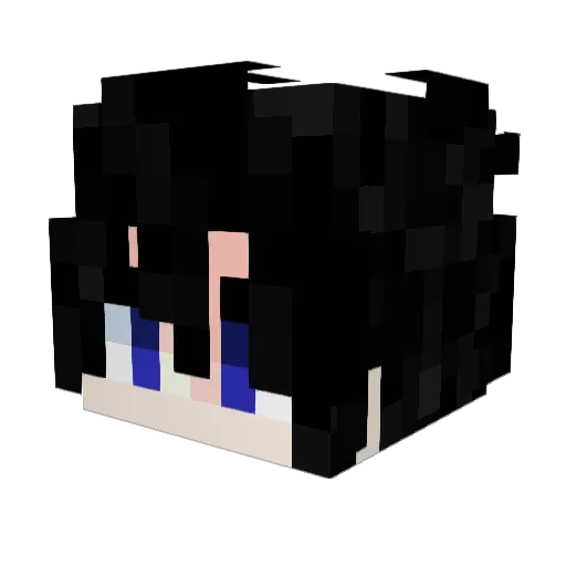 _Salamix Minecraft avatar head, 3D render