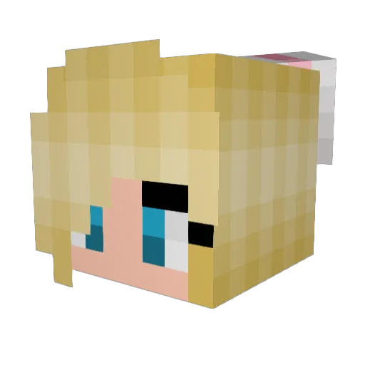 _Salinea Minecraft avatar head, 3D render