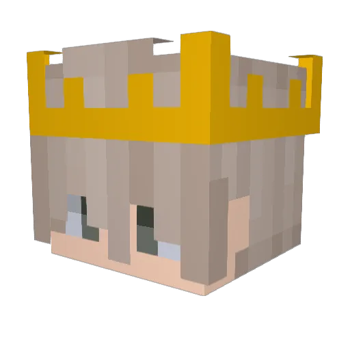 _SaltyLips Minecraft avatar head, 3D render