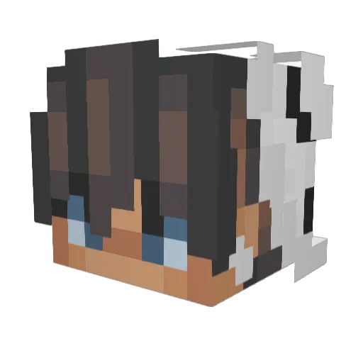 _SalvahIsHere Minecraft avatar head, 3D render