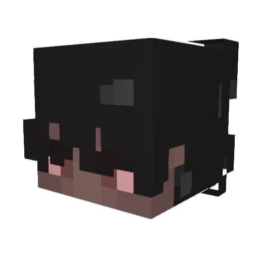 _Sam1k_ Minecraft avatar head, 3D render