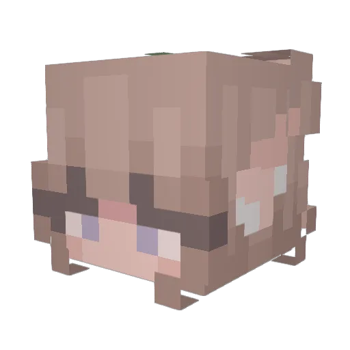 _Sammie Minecraft avatar head, 3D render