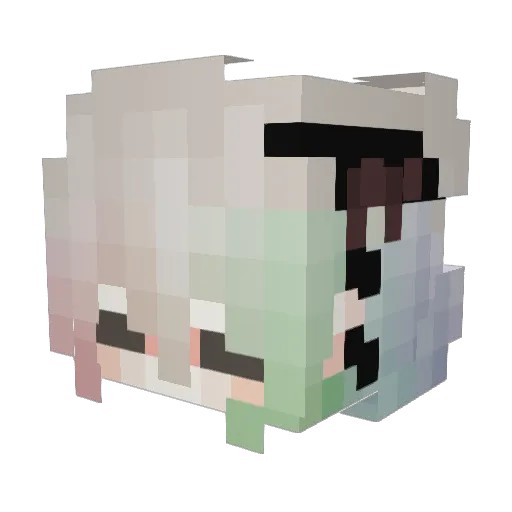 _San08_ Minecraft avatar head, 3D render