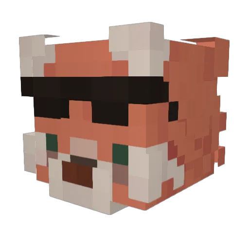 _Saoirse Minecraft avatar head, 3D render