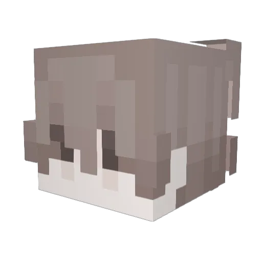 _Scarrnax Minecraft avatar head, 3D render