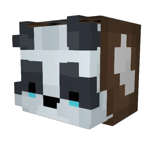 _Schmanda Minecraft avatar head, 3D render