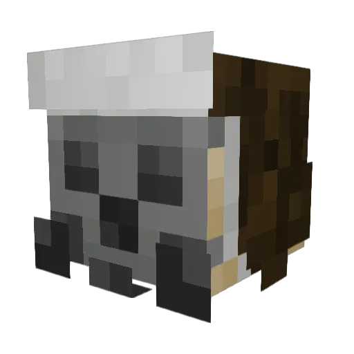 _Schmule Minecraft avatar head, 3D render