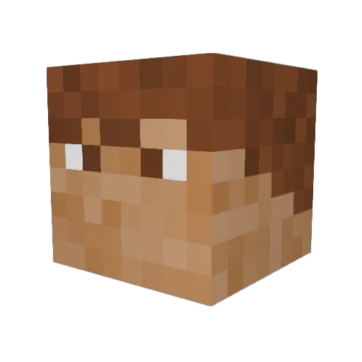 _Schokokruste_ Minecraft avatar head, 3D render