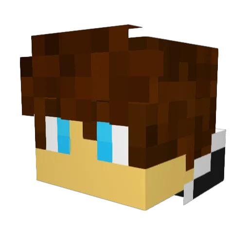 _Sebaaa Minecraft avatar head, 3D render