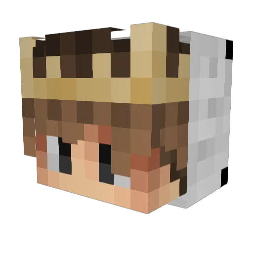 _Sebbx_ Minecraft avatar head, 3D render