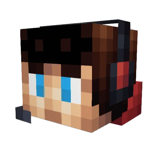 _SelkyN_ Minecraft avatar head, 3D render