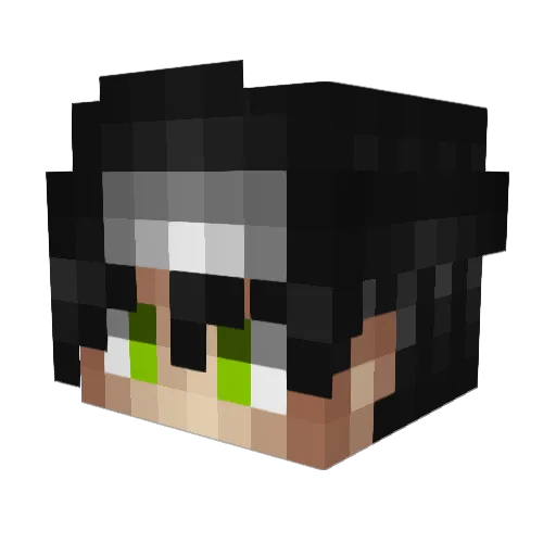 _Senkayka_ Minecraft avatar head, 3D render