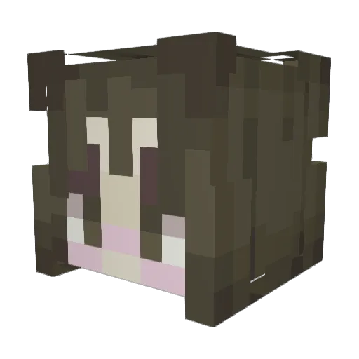 _SevenTeen Minecraft avatar head, 3D render
