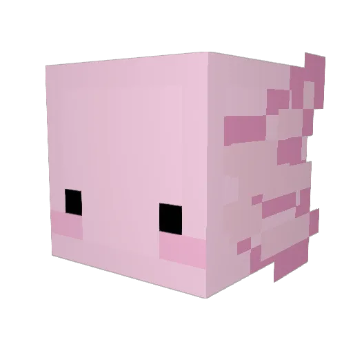 _ShNu Minecraft avatar head, 3D render