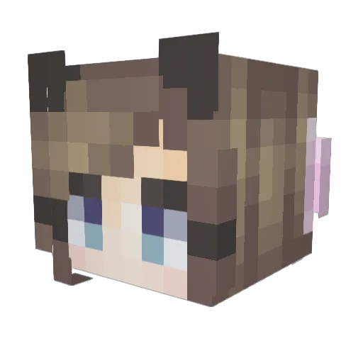 _Shadow_Cat Minecraft avatar head, 3D render