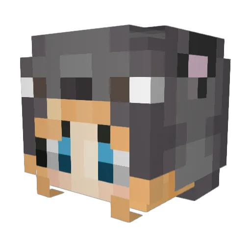 _Shadow_Thief_ Minecraft avatar head, 3D render