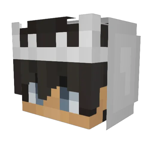 _Shadowblege_ Minecraft avatar head, 3D render