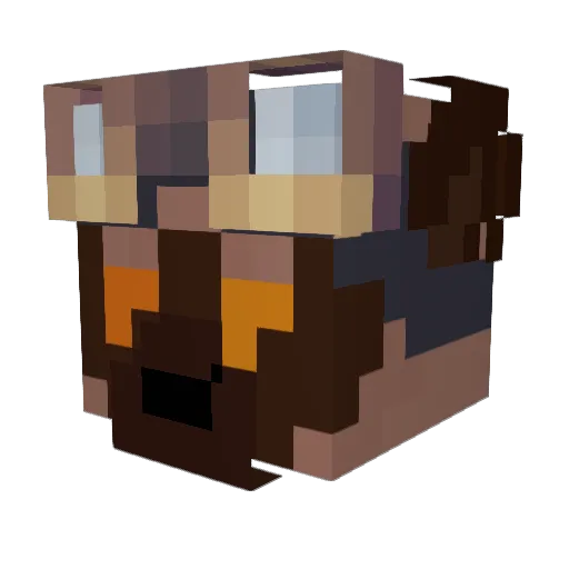 _SharkBaitTaffeY Minecraft avatar head, 3D render