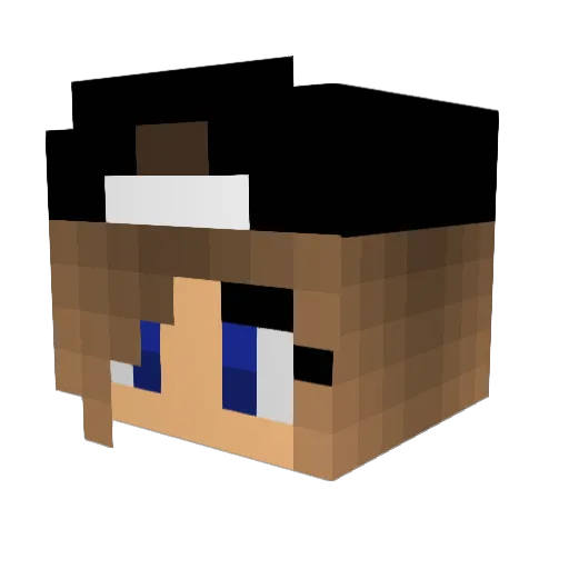 _Shay Minecraft avatar head, 3D render