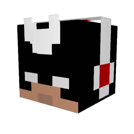 _Shazaam_ Minecraft avatar head, 3D render