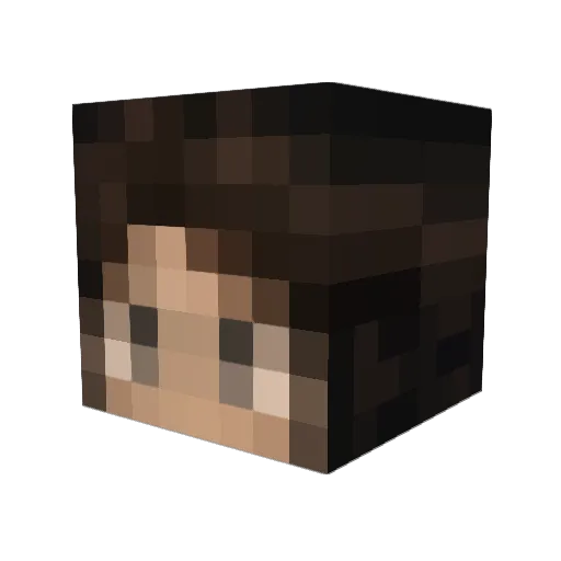 _Sher Minecraft avatar head, 3D render