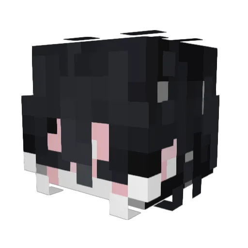 _Shirra Minecraft avatar head, 3D render