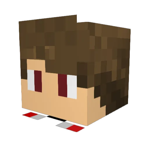 _ShivPaul_ Minecraft avatar head, 3D render