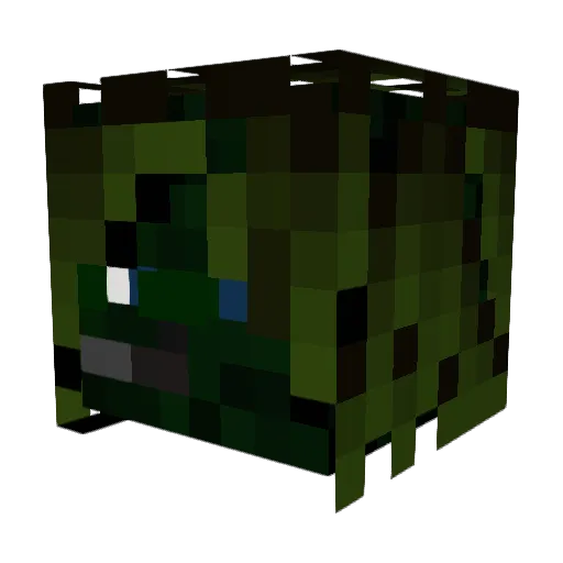 _Shrek4onDvD_ Minecraft avatar head, 3D render