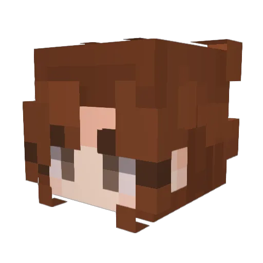 _ShrimpBisquit_ Minecraft avatar head, 3D render