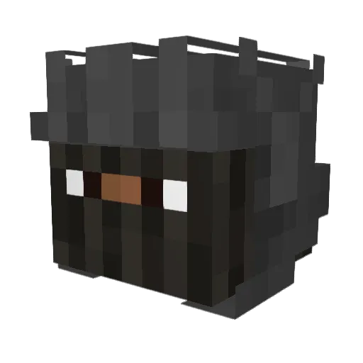 _Siegel_ Minecraft avatar head, 3D render