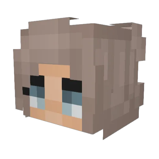_Signum Minecraft avatar head, 3D render