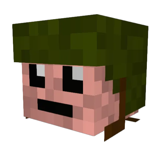 _Silem_ Minecraft avatar head, 3D render