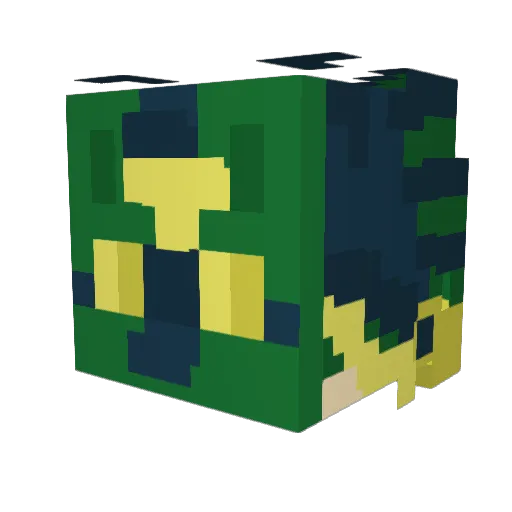_SillyWizard Minecraft avatar head, 3D render