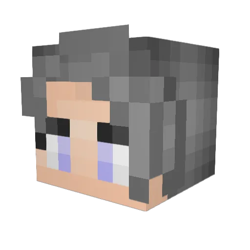 _SilverSable_ Minecraft avatar head, 3D render
