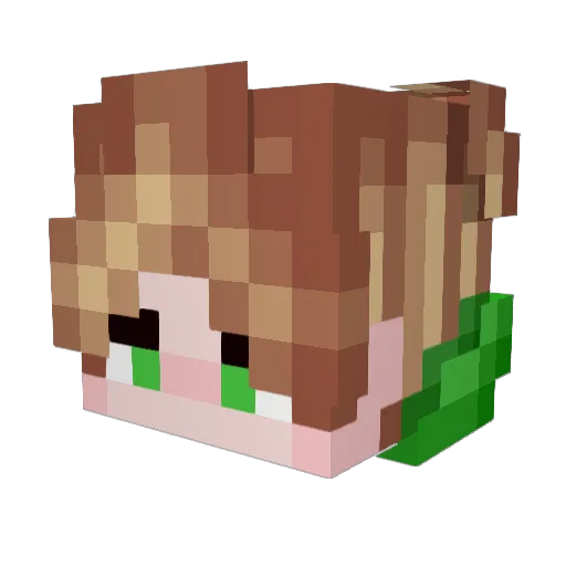 _SirBix_ Minecraft avatar head, 3D render