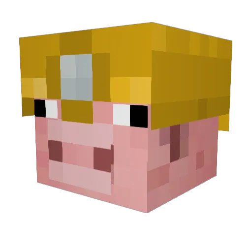 _SirOinksALot_ Minecraft avatar head, 3D render