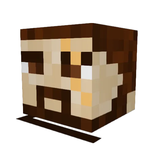 _Sisar_ Minecraft avatar head, 3D render