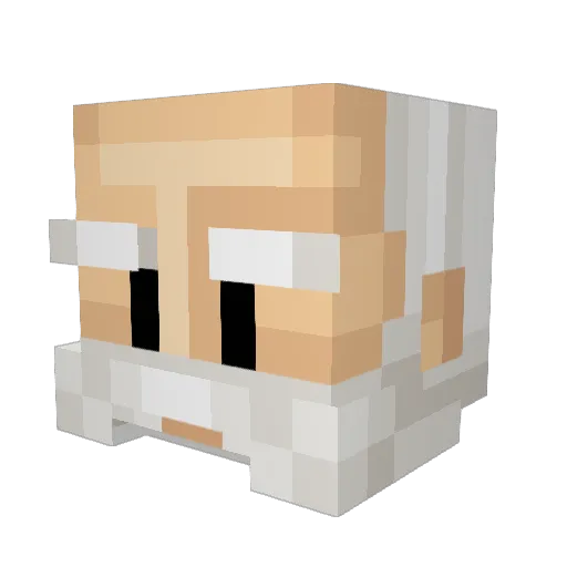 _Sithis_ Minecraft avatar head, 3D render