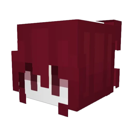 _Skaymon_ Minecraft avatar head, 3D render