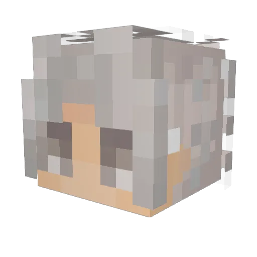 _Skibble Minecraft avatar head, 3D render