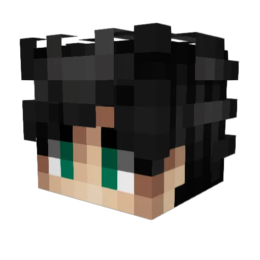 _Sku11_ Minecraft avatar head, 3D render