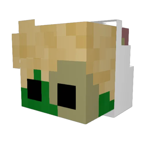 _Skygo_ Minecraft avatar head, 3D render